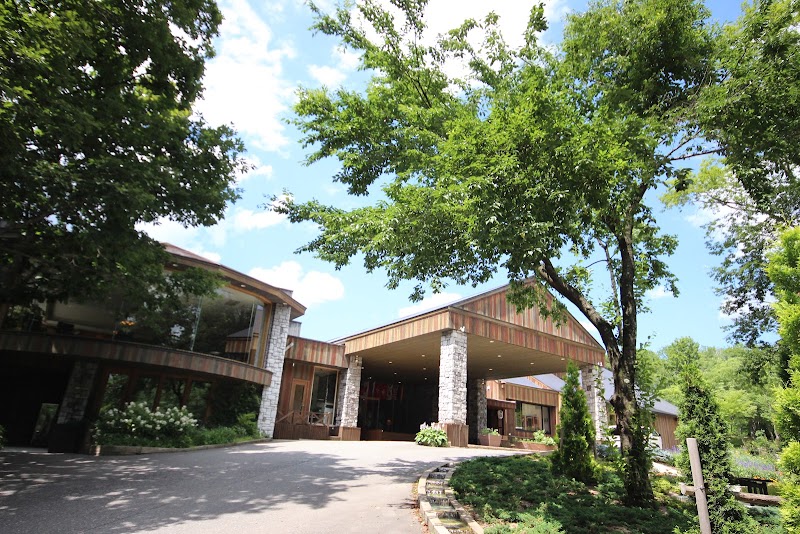 Sierra Resort Hotel Hakuba